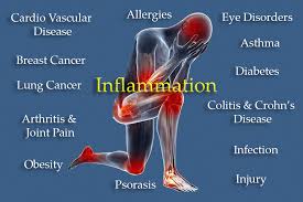 inflammation 04 inflammation 04